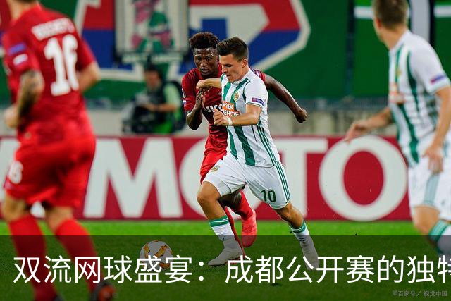 双流网球盛宴：成都公开赛的独特魅力
